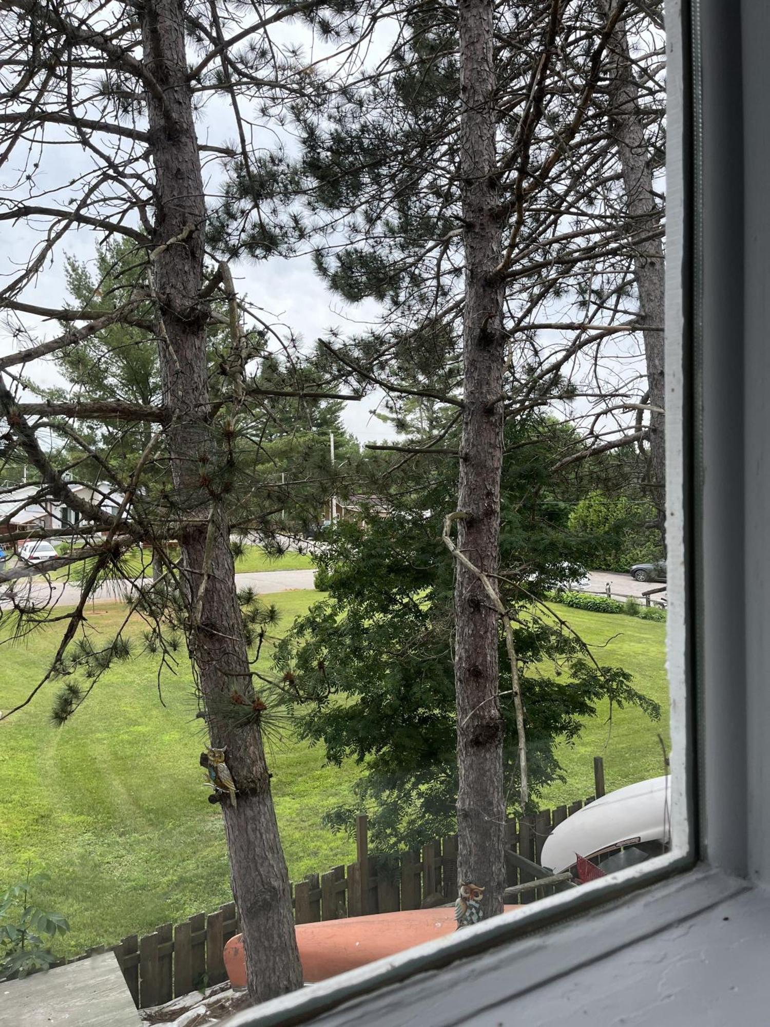 Auberge De Ferme-Neuve Lac-Saint-Paul Εξωτερικό φωτογραφία